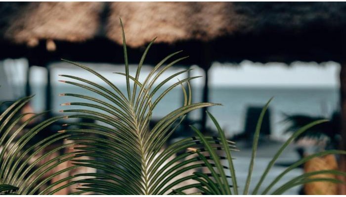 Hotel Sahari Zanzibar poza 11