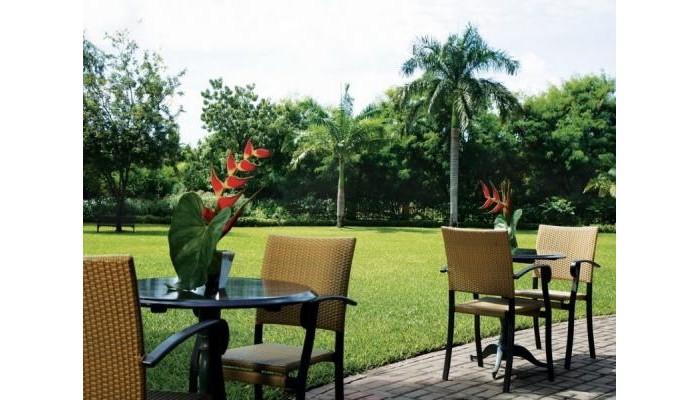 Hotel Moevenpick Royal Palm poza 9