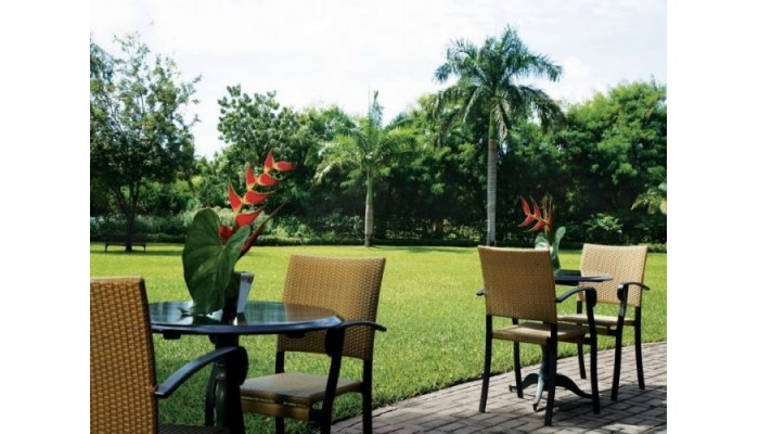 Hotel Moevenpick Royal Palm poza 4