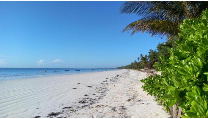 Hotel Zanzibar Bahari Villas poza 13