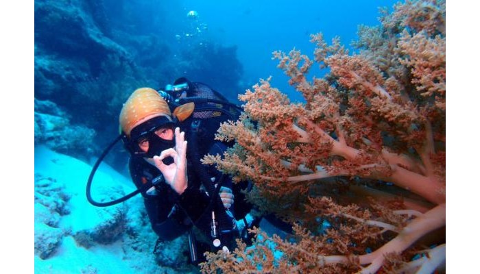 Sunshine Bay Hotel Zanzibar poza 25