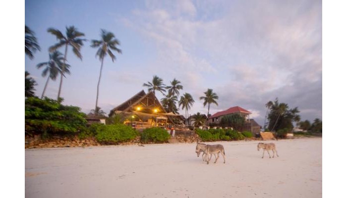 Villa Kiva Zanzibar poza 2