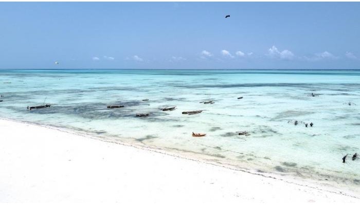 Hotel Blue Wave Bungalow poza 4