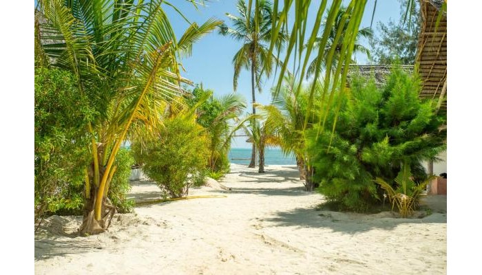 Hotel Blue Wave Bungalow poza 22