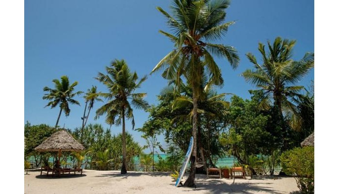 Hotel Tikitam Palms Boutique poza 1