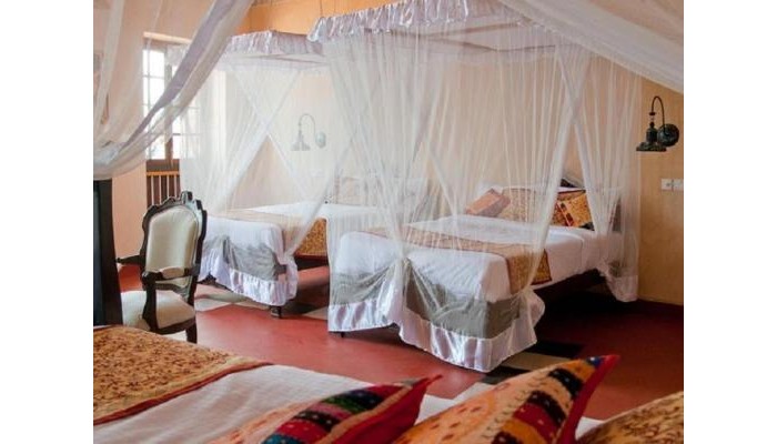 Poza pentru Hotel Mizingani Seafront 211-1697020313 Hotel Mizingani Seafront poza 15